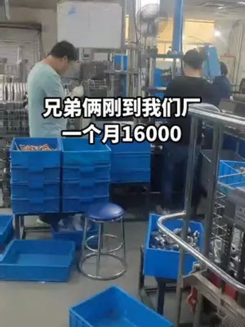 手足同心筑夢廠區(qū)，兄弟合力點(diǎn)亮人生
